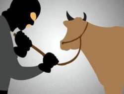 Pencurian Ternak Mengguncang Desa Lai Hau, Sumba Timur