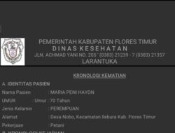 Kronologi Kematian Maria Peni Hayon, Pergulatan Seorang Pengungsi Lewotobi, Flores Timur