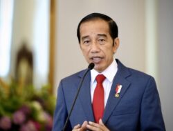 Presiden Jokowi Setujui Kontrak PPPK Diputuskan, Sejumlah Alasan Sudah Ditetapkan