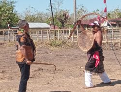 Pentas Caci Meriahkan HUT RI ke-79 di Sano Nggoang, Bupati Edi Apresiasi