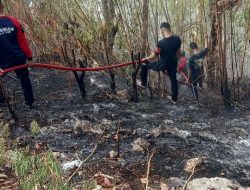 Serangkaian Kebakaran Lahan Terbuka Hantui Labuan Bajo, Ini Penegasan Kasat Pol PP