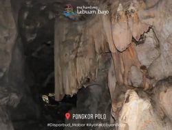 Pesona Kristal Gua Pongkor Polo, Keajaiban Tersembunyi di Manggarai Barat
