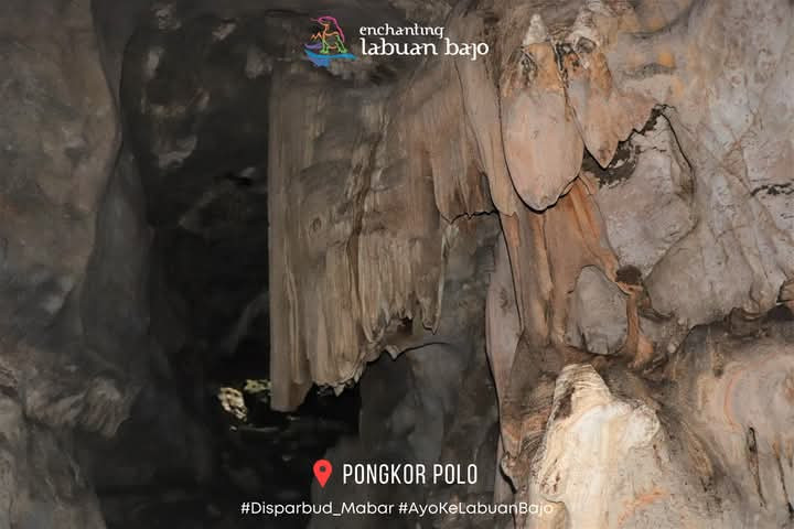 FB IMG 1735223421346