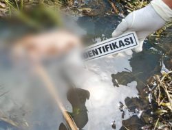 Polisi Minta Kerjasama Masyarakat Selidiki Kasus Pembuangan Bayi di Lembor