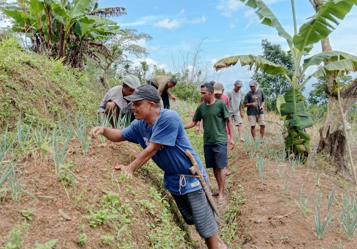 Pemanfaatan Lahan Tidur di Desa Wae Mowol untuk Budidaya Daun Bawang dan Jahe Gajah 2 IMG 20250325 WA0028