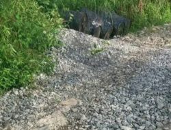 Janji Tinggal Janji, Warga Golo Lewe Protes Proyek Lapen yang Mangkrak