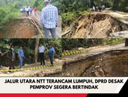 Jalur Utara NTT Terancam Lumpuh, DPRD Desak Pemprov Segera Bertindak