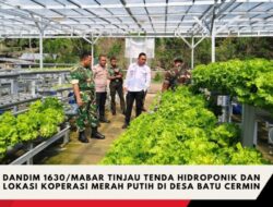 Dandim 1630/Mabar Tinjau Tenda Hidroponik dan Lokasi Koperasi Merah Putih di Desa Batu Cermin