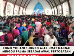 Romo Yohanes Jondo Ajak Umat Maknai Minggu Palma sebagai Awal Pertobatan