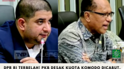 DPR RI Terbelah! PKB Desak Kuota Komodo Dicabut, NasDem Tegas Dukung Pembatasan 1.000