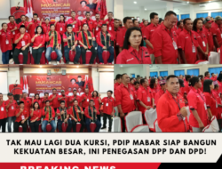 Tak Mau Lagi Dua Kursi, PDIP Mabar Siap Bangun Kekuatan Besar, Ini Penegasan DPP dan DPD! 