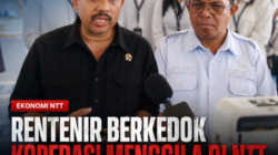 Rentenir Berkedok Koperasi Menggila, Bunga Tembus 60 Persen, Menteri UMKM Angkat Bicara