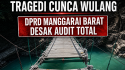6eca8350 5811 11f1 8ea7 7f7be98d0dc4
