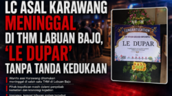 LC Asal Karawang Meninggal di THM Labuan Bajo, “LE DUPAR” Tanpa Tanda Kedukaan