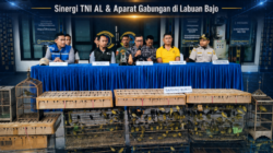 TNI AL dan Aparat Gabungan Gagalkan Penyelundupan Ribuan Burung di Labuan Bajo, Ini Penjelasan Kepala Karantina