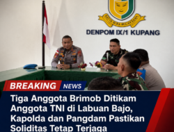 Tiga Anggota Brimob Ditikam Anggota TNI di Labuan Bajo, Kapolda dan Pangdam Pastikan Soliditas Tetap Terjaga
