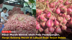 Pasar Murah Ninonk Ubah Peta Perdagangan, Harga Bawang Merah di Labuan Bajo Terjun Bebas