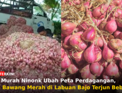Pasar Murah Ninonk Ubah Peta Perdagangan, Harga Bawang Merah di Labuan Bajo Terjun Bebas
