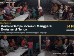 14 KK Korban Gempa Flores di Manggarai Masih Bertahan di Tenda, Beras dan Susu Bayi Kini Mendesak
