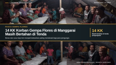 14 KK Korban Gempa Flores di Manggarai Masih Bertahan di Tenda, Beras dan Susu Bayi Kini Mendesak